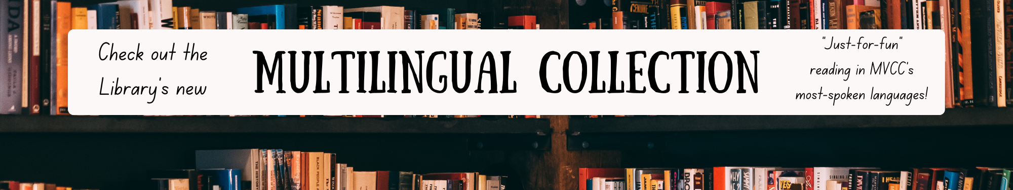 The Multilingual Collection offers leisure reading in the most-spoken languages on campus. Borrow a book or suggest a title.