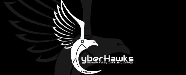 cyberhawks