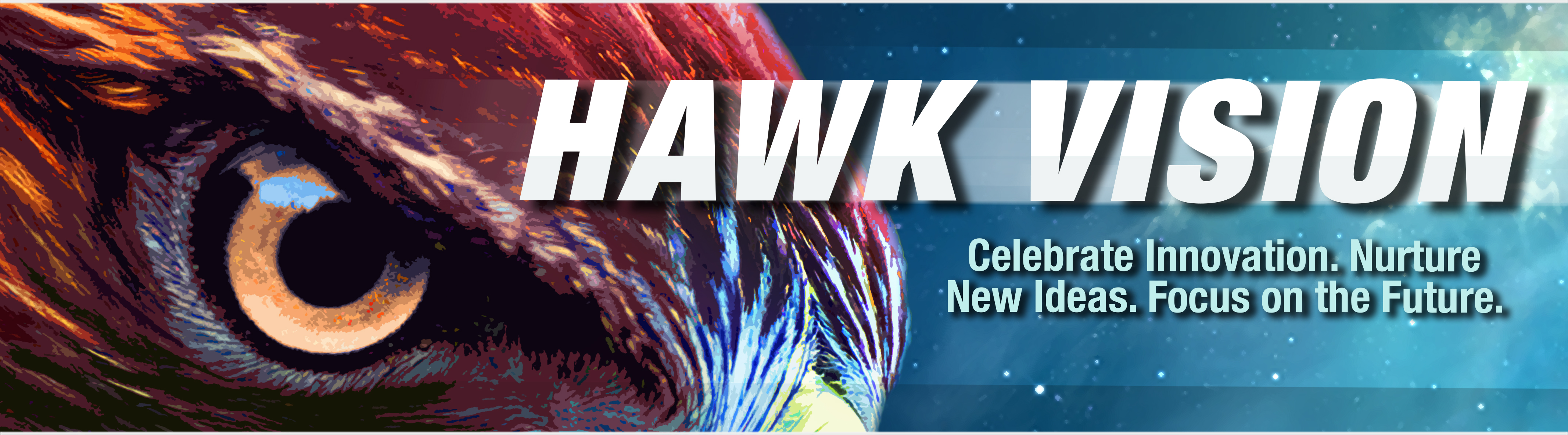 Hawk Vision logo